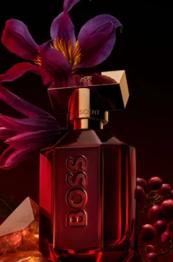 BOSS The Scent Elixir Parfum Intense 50 ml