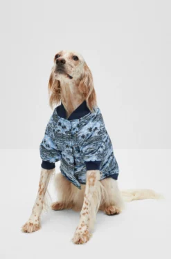 Hunde-Bomberjacke