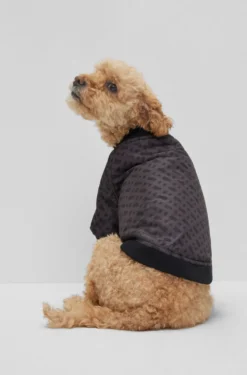 Hunde-Bomberjacke