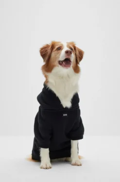 Hunde-Hoodie aus Baumwoll-Mix mit Kontrast-Logo
